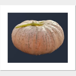 Pale Orange Pumpkin for Halloween Decoration Posters and Art